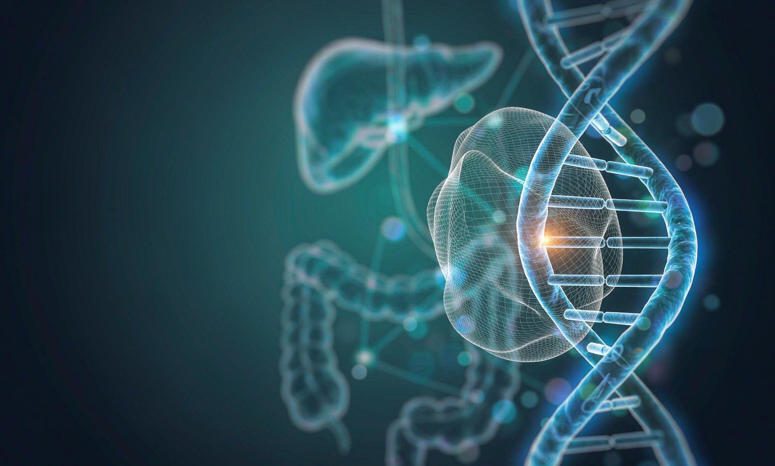 BRAF V600E Mutation as a Biomarker in Thyroid and Colorectal Cancer DNA double helix with a single highlighted base pair overlaid on semi-transparent illustrations of the thyroid gland and human colon, illustrating BRAF V600E as a molecular biomarker in thyroid and colorectal cancer