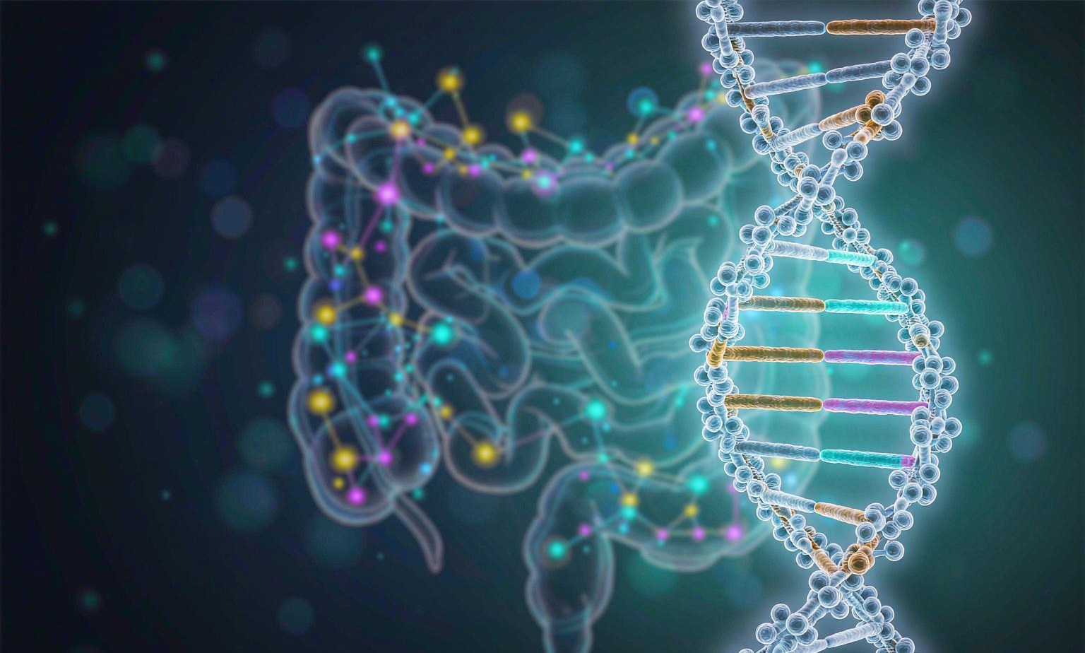 KRAS Codon 12 and 13 Mutations as Predictive Biomarkers in Colorectal Cancer DNA double helix with highlighted mutation sites overlaid on a semi-transparent illustration of the human colon, illustrating KRAS codon 12 and 13 mutations as predictive biomarkers in colorectal cancer