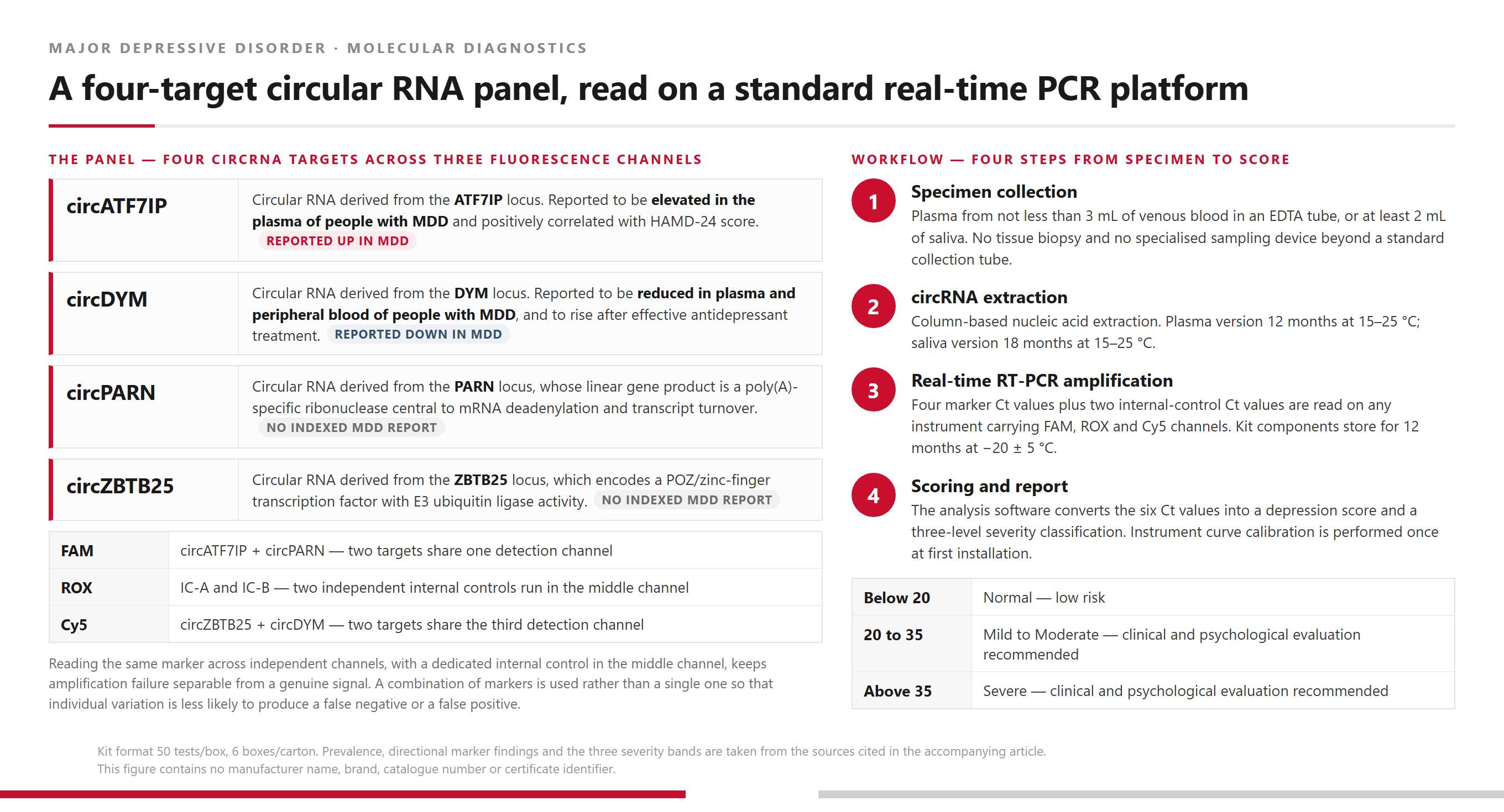 The Four-Target circRNA Depression Panel: Target-to-Channel Mapping and the Four-Step Workflow from Specimen to Score Infographic showing the four circular RNA targets of the depression RT-PCR panel, circATF7IP and circPARN detected in the FAM channel, the internal controls IC-A and IC-B in the ROX channel and circZBTB25 and circDYM in the Cy5 channel, alongside the four-step workflow from plasma or saliva collection through circRNA extraction and real-time RT-PCR to a scored, classified patient report