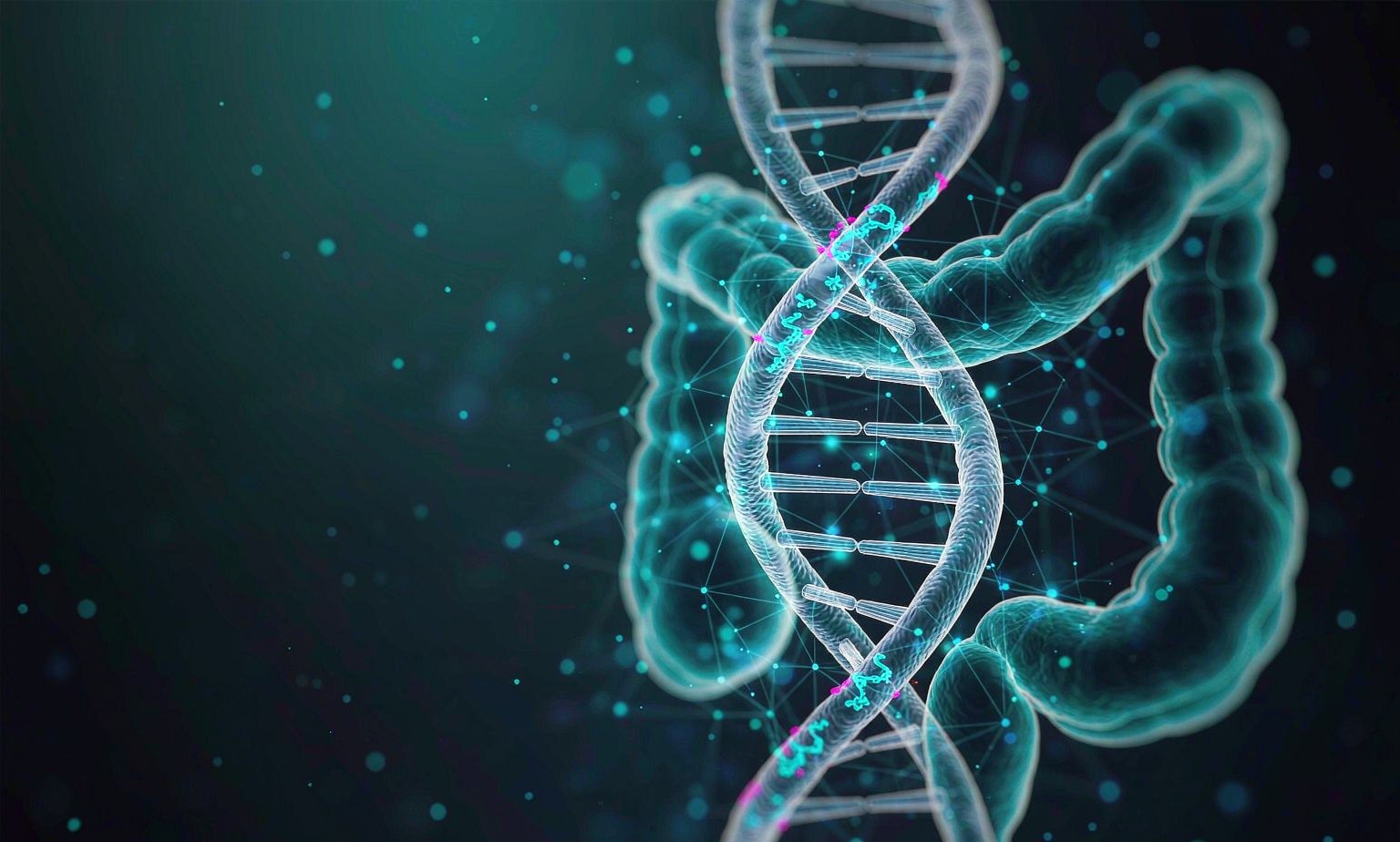 SEPT9 DNA Methylation Biomarker for Colorectal Cancer Blood Screening DNA double helix with methylation marks overlaid on a semi-transparent illustration of the human colon, illustrating SEPT9 DNA methylation as a blood biomarker for colorectal cancer screening