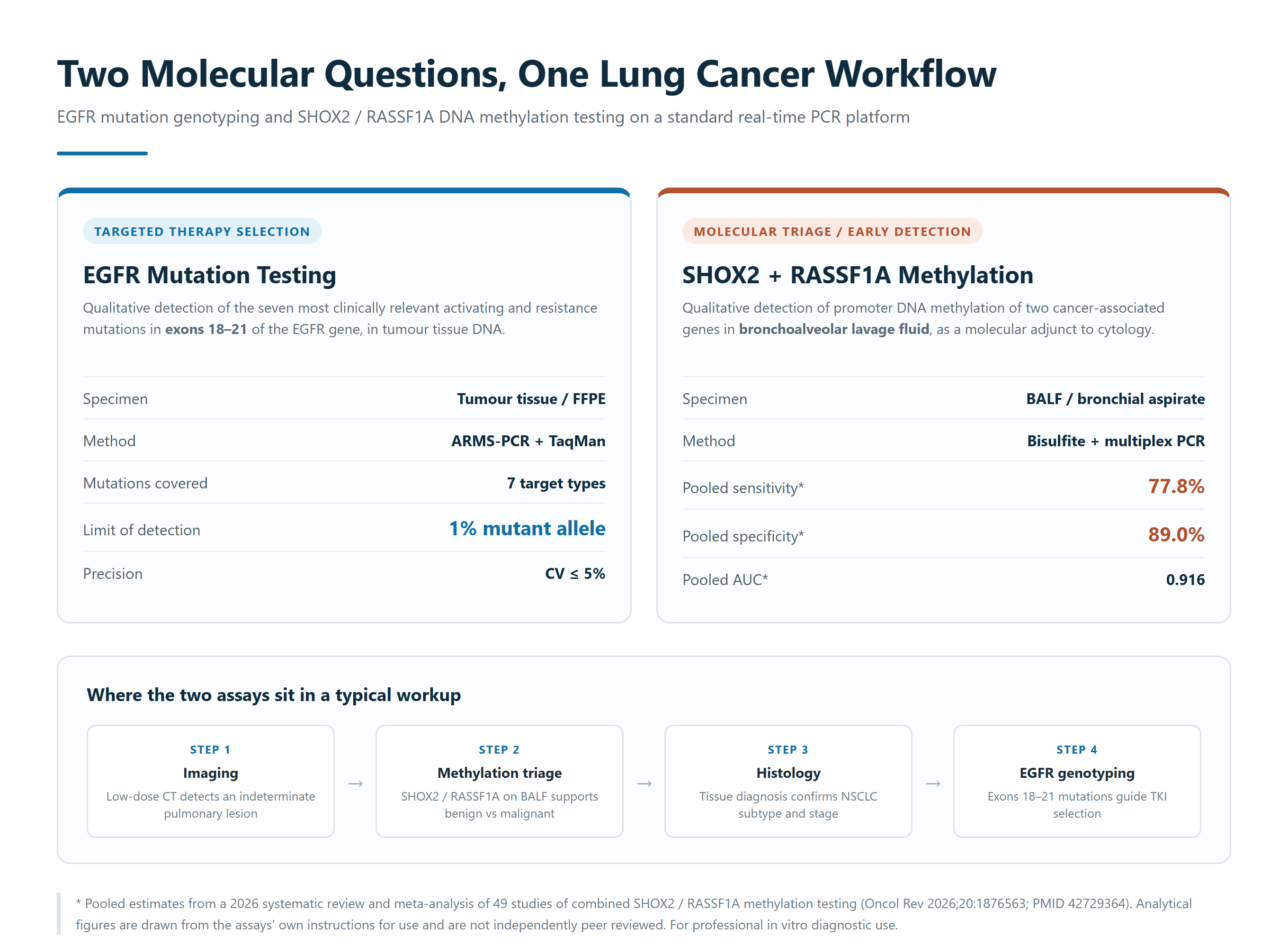 Real-time PCR thermal cycler and reagent tubes on a molecular diagnostics laboratory bench used for EGFR mutation genotyping and lung cancer DNA methylation testing