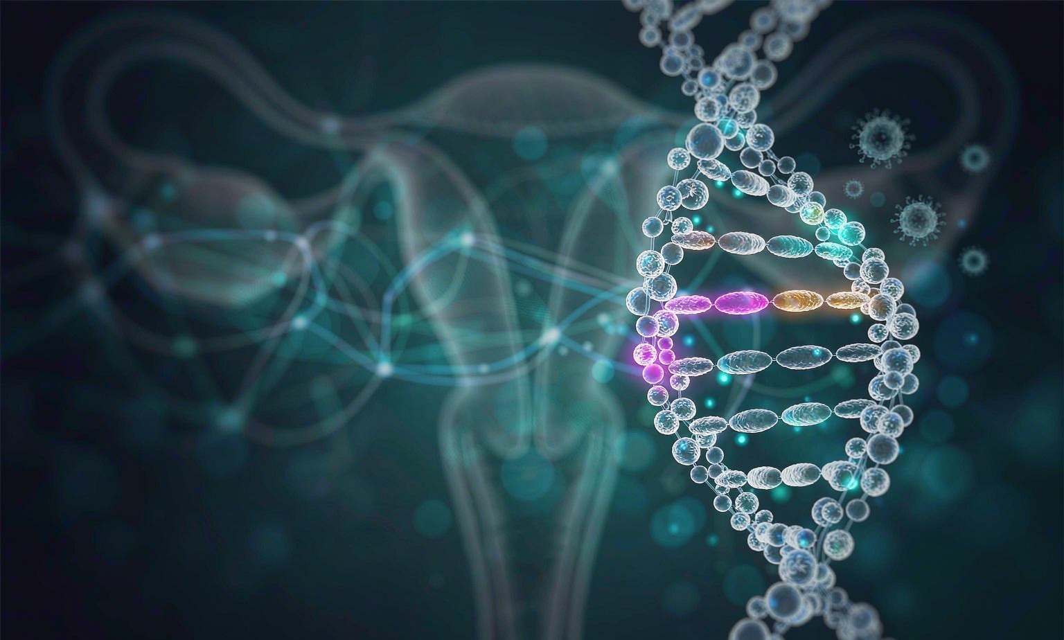 Individual Genotyping of HPV16, HPV18, HPV52, HPV33 and HPV58 in Cervical Cancer Screening DNA double helix with highlighted genotype segments and virus particles overlaid on a semi-transparent illustration of the cervix and female reproductive anatomy, illustrating individual genotyping of HPV16, 18, 52, 33 and 58 in cervical cancer screening